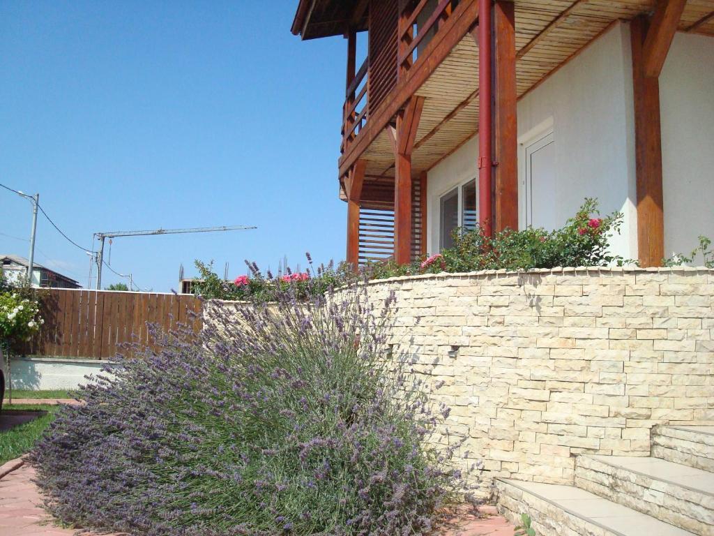 Pension Oasis Costinesti Esterno foto